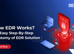 How EDR Works? An Easy Step-By-Step Anatomy of EDR Solution